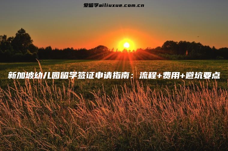 新加坡幼儿园留学签证申请指南：流程+费用+避坑要点