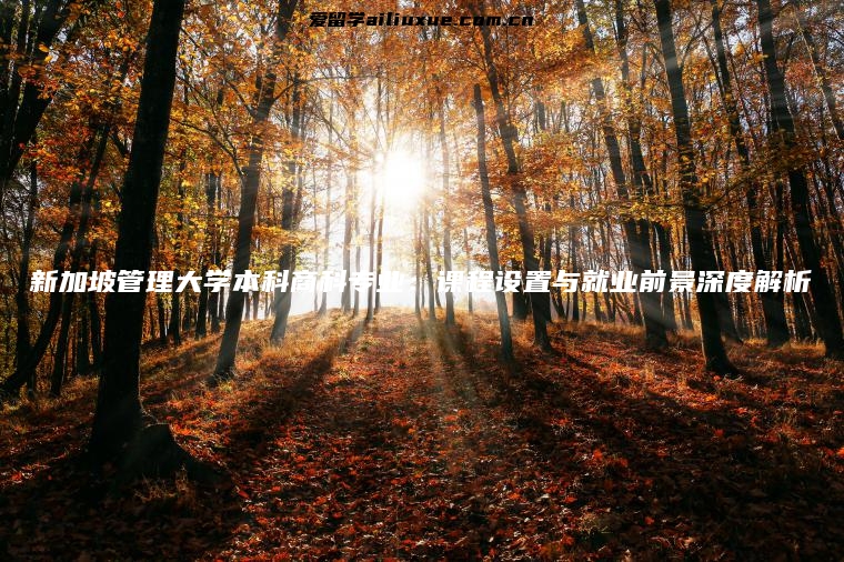 新加坡管理大学本科商科专业：课程设置与就业前景深度解析