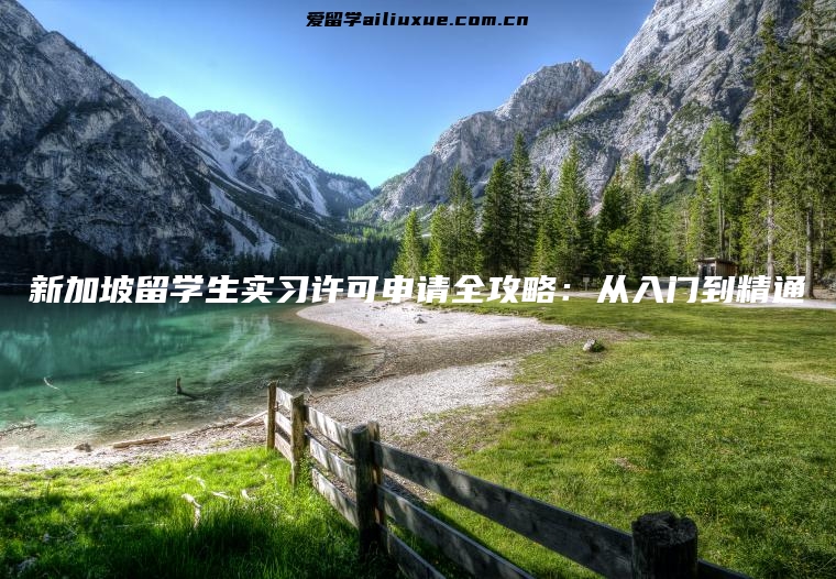 新加坡留学生实习许可申请全攻略：从入门到精通