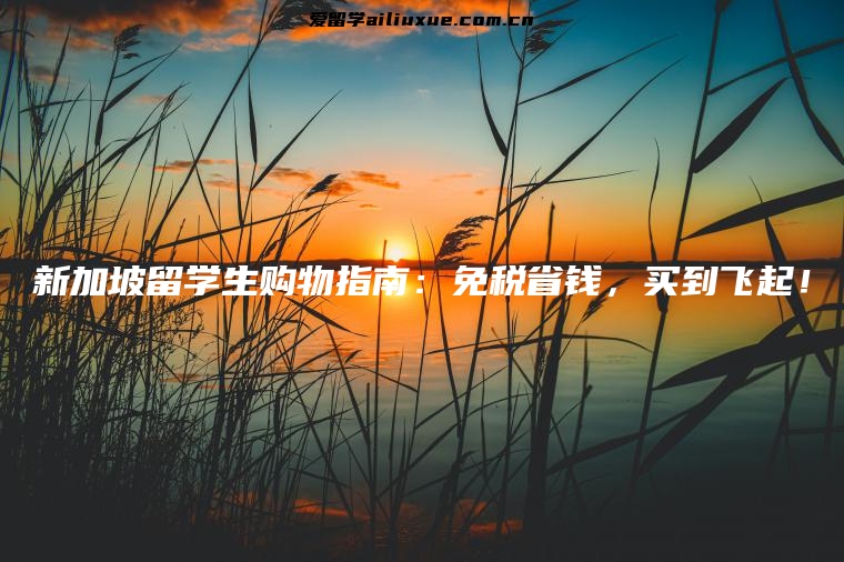 新加坡留学生购物指南：免税省钱，买到飞起！
