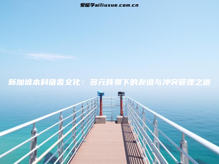 新加坡本科宿舍文化：多元背景下的友谊与冲突管理之道