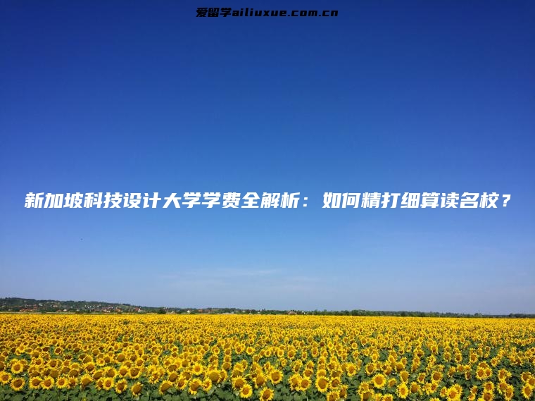 新加坡科技设计大学学费全解析：如何精打细算读名校？