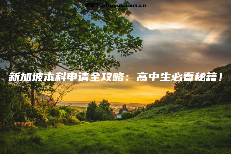 新加坡本科申请全攻略：高中生必看秘籍！