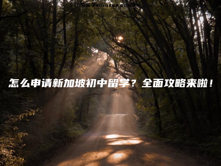 怎么申请新加坡初中留学？全面攻略来啦！