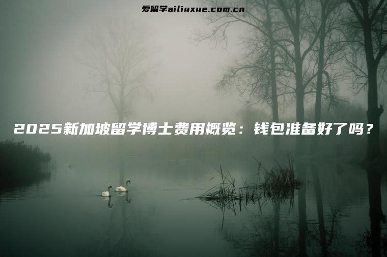 2025新加坡留学博士费用概览：钱包准备好了吗？