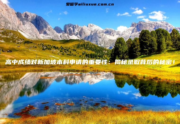 高中成绩对新加坡本科申请的重要性：揭秘录取背后的秘密！