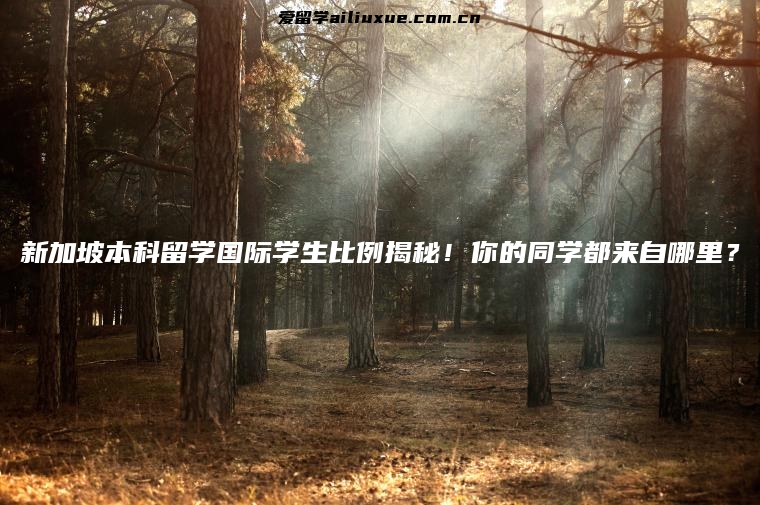 新加坡本科留学国际学生比例揭秘！你的同学都来自哪里？