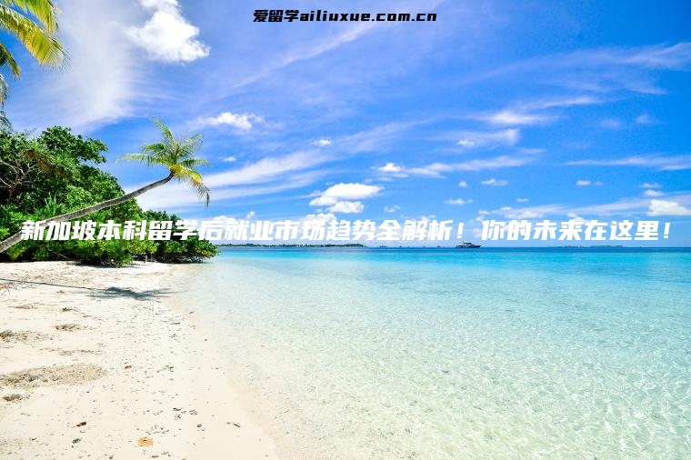 新加坡本科留学后就业市场趋势全解析！你的未来在这里！
