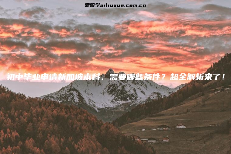初中毕业申请新加坡本科，需要哪些条件？超全解析来了！
