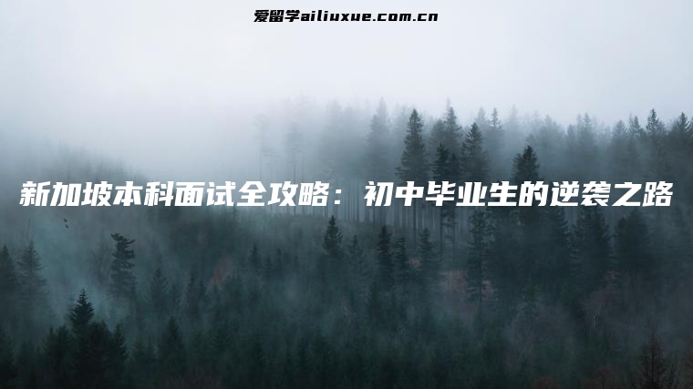 新加坡本科面试全攻略：初中毕业生的逆袭之路