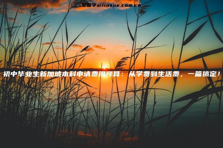 初中毕业生新加坡本科申请费用预算：从学费到生活费，一篇搞定！
