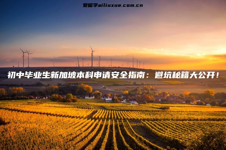 初中毕业生新加坡本科申请安全指南：避坑秘籍大公开！