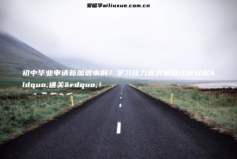 初中毕业申请新加坡本科？学习压力应对策略让你轻松“通关”！