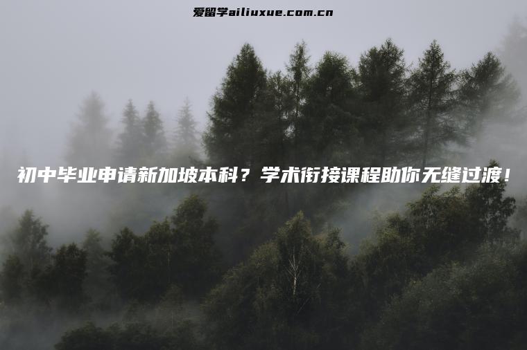 初中毕业申请新加坡本科？学术衔接课程助你无缝过渡！
