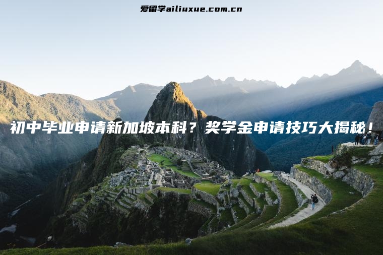 初中毕业申请新加坡本科？奖学金申请技巧大揭秘！