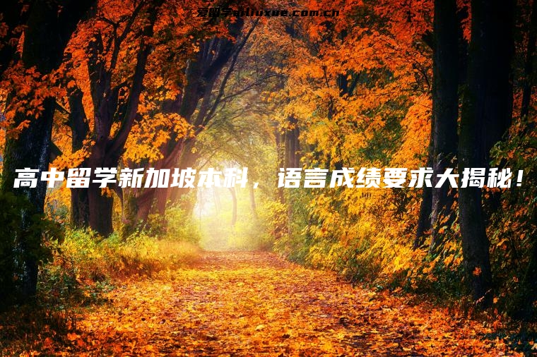 高中留学新加坡本科，语言成绩要求大揭秘！