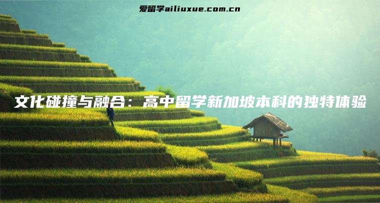 文化碰撞与融合：高中留学新加坡本科的独特体验
