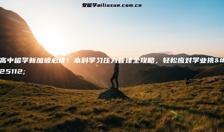 高中留学新加坡必读！本科学习压力管理全攻略，轻松应对学业挑战