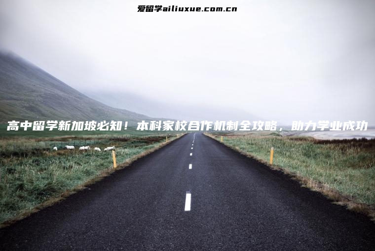 高中留学新加坡必知！本科家校合作机制全攻略，助力学业成功