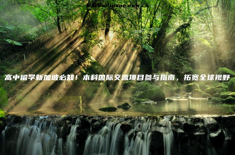 高中留学新加坡必知！本科国际交流项目参与指南，拓宽全球视野