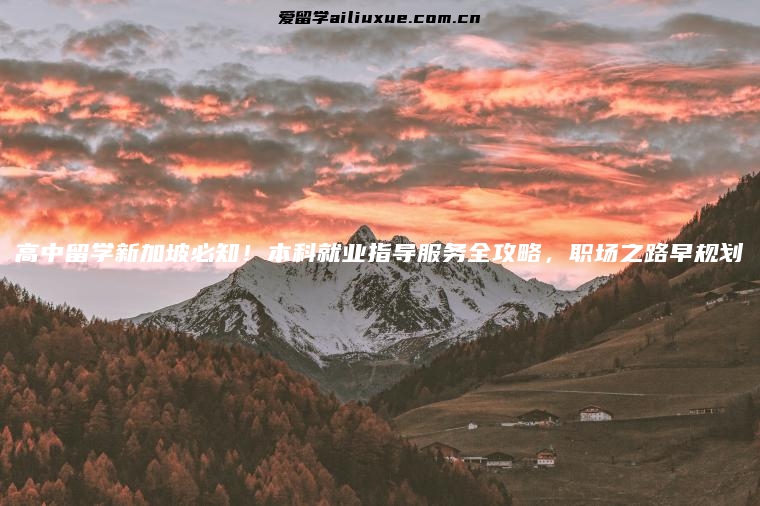 高中留学新加坡必知！本科就业指导服务全攻略，职场之路早规划