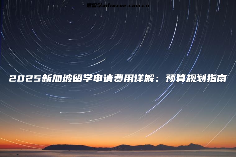 2025新加坡留学申请费用详解：预算规划指南