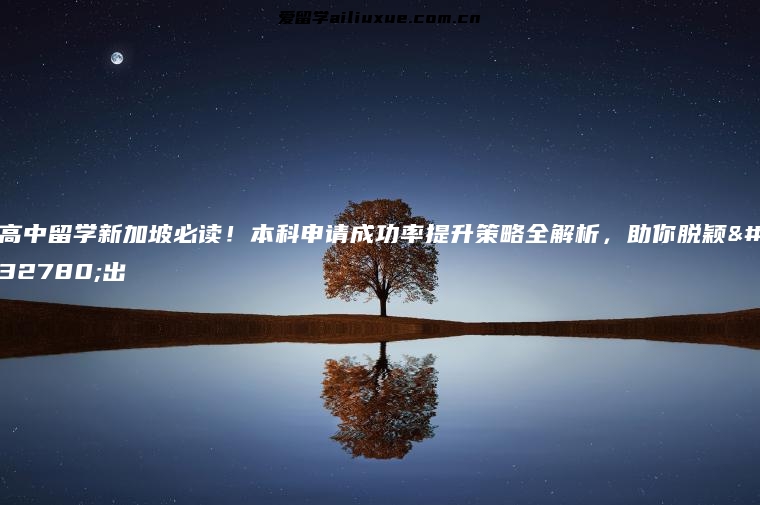 高中留学新加坡必读！本科申请成功率提升策略全解析，助你脱颖而出