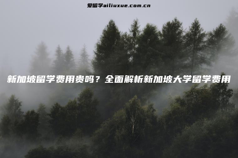新加坡留学费用贵吗？全面解析新加坡大学留学费用