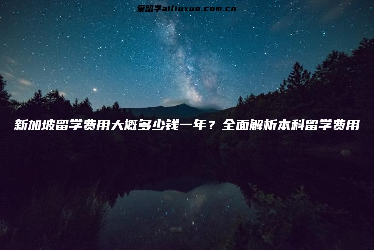 新加坡留学费用大概多少钱一年？全面解析本科留学费用