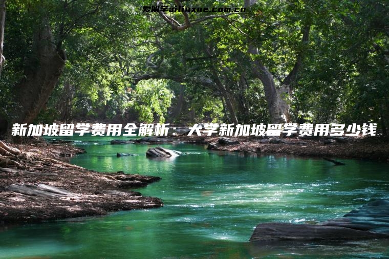 新加坡留学费用全解析：大学新加坡留学费用多少钱