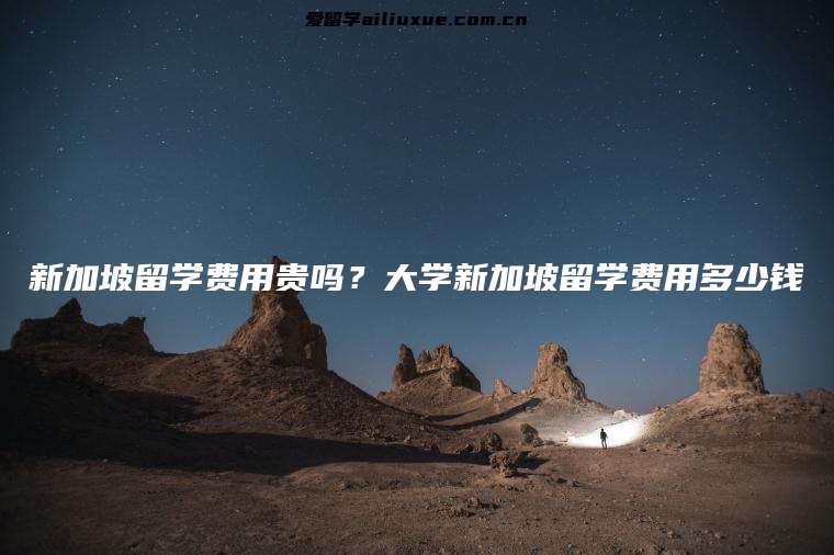 新加坡留学费用贵吗？大学新加坡留学费用多少钱