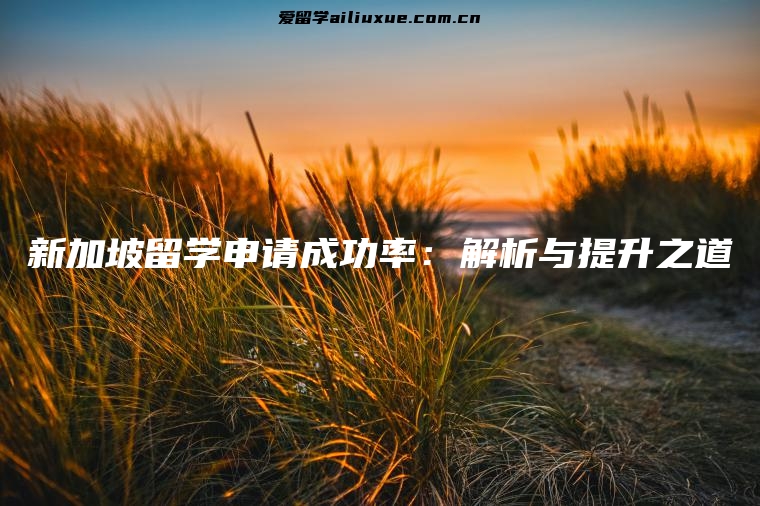 新加坡留学申请成功率：解析与提升之道