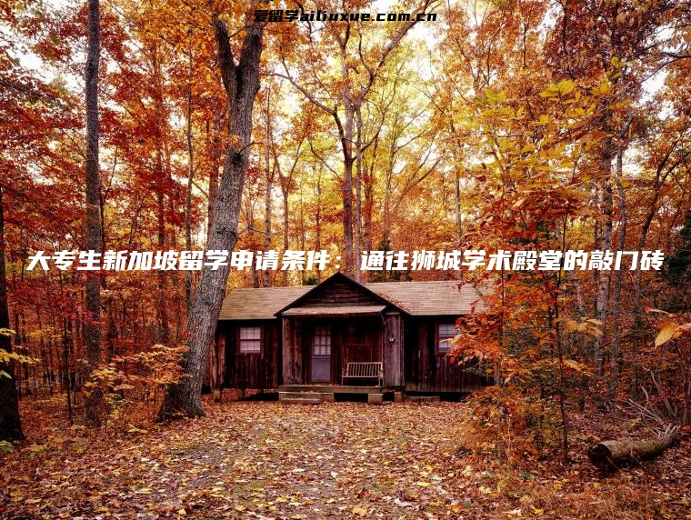 大专生新加坡留学申请条件：通往狮城学术殿堂的敲门砖