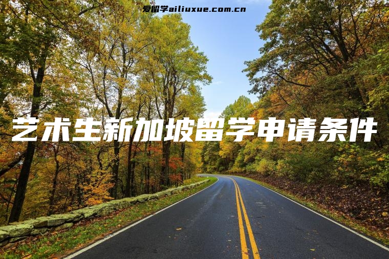 艺术生新加坡留学申请条件
