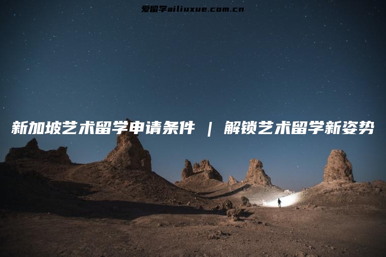 新加坡艺术留学申请条件 | 解锁艺术留学新姿势
