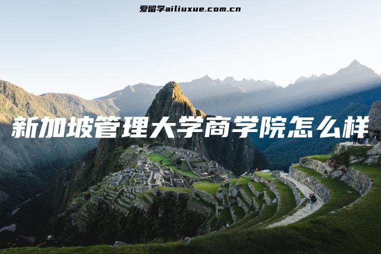 新加坡管理大学商学院怎么样