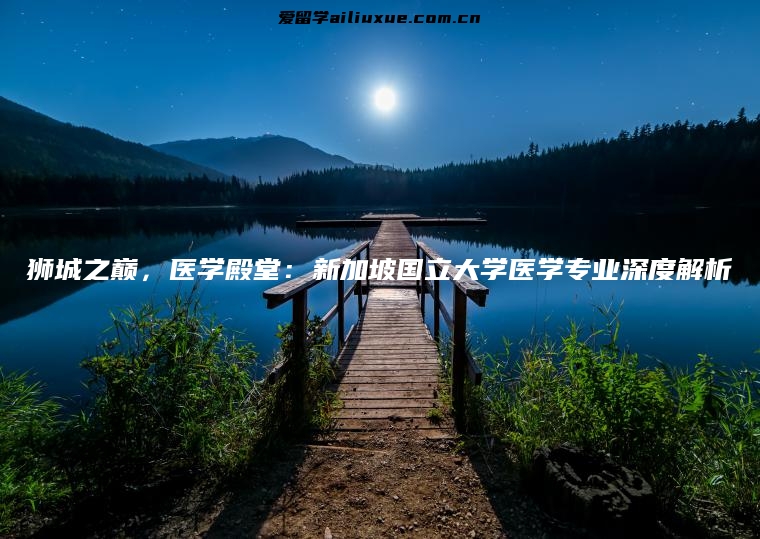 狮城之巅，医学殿堂：新加坡国立大学医学专业深度解析