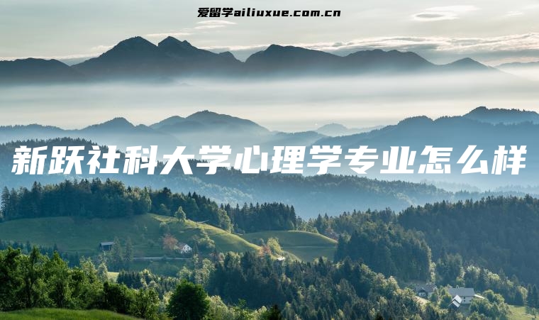 新跃社科大学心理学专业怎么样