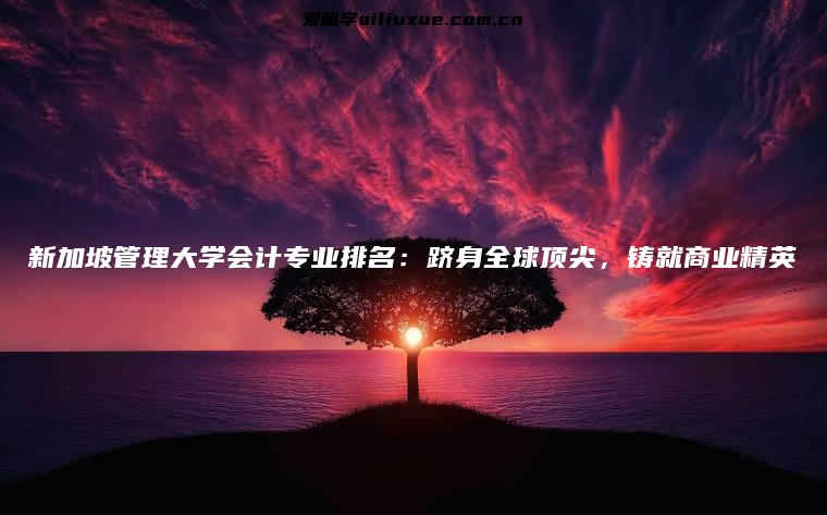 新加坡管理大学会计专业排名：跻身全球顶尖，铸就商业精英