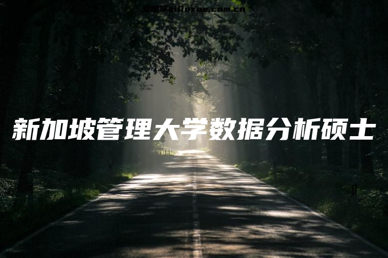 新加坡管理大学数据分析硕士