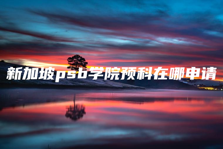 新加坡psb学院预科在哪申请