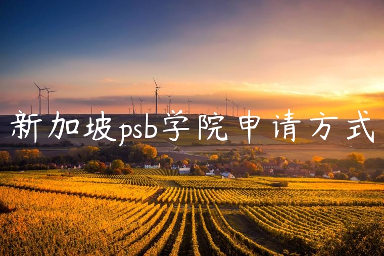 新加坡psb学院申请方式