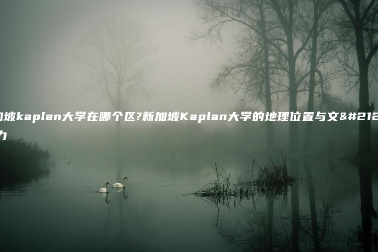 新加坡kaplan大学在哪个区?新加坡Kaplan大学的地理位置与文化魅力