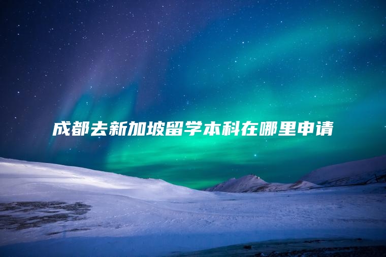 成都去新加坡留学本科在哪里申请