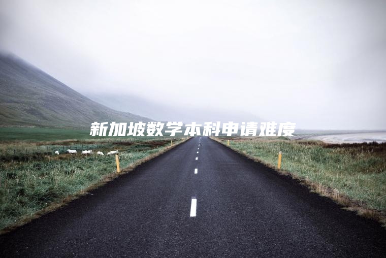 新加坡数学本科申请难度
