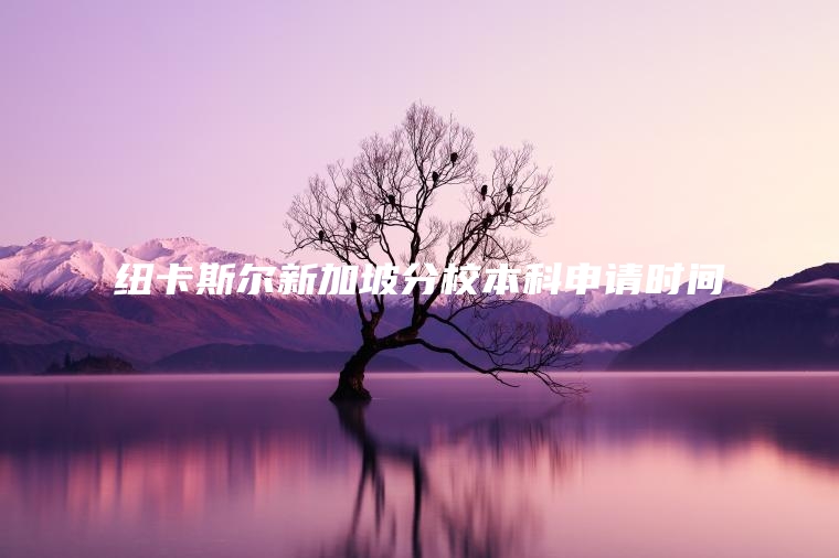 纽卡斯尔新加坡分校本科申请时间
