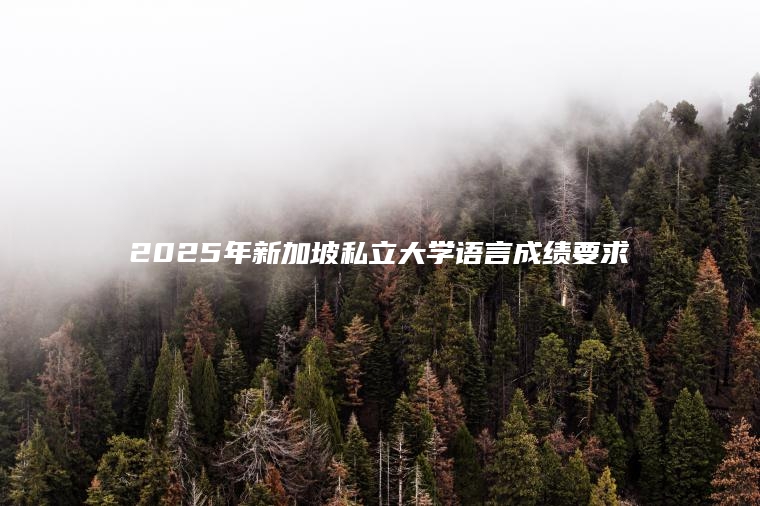 2025年新加坡私立大学语言成绩要求全解析：免雅思也能申请？