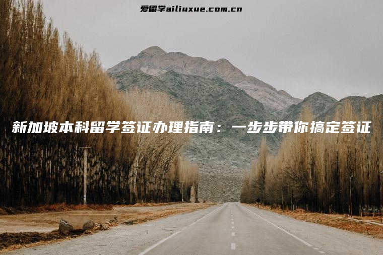 新加坡本科留学签证办理指南：一步步带你搞定签证
