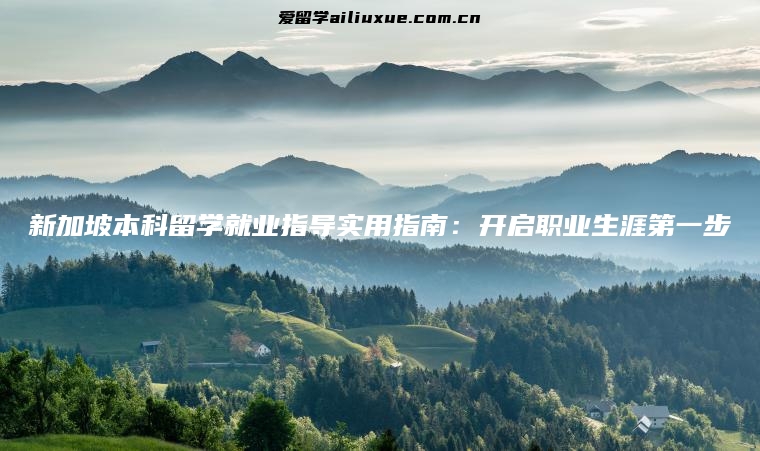 新加坡本科留学就业指导实用指南：开启职业生涯第一步