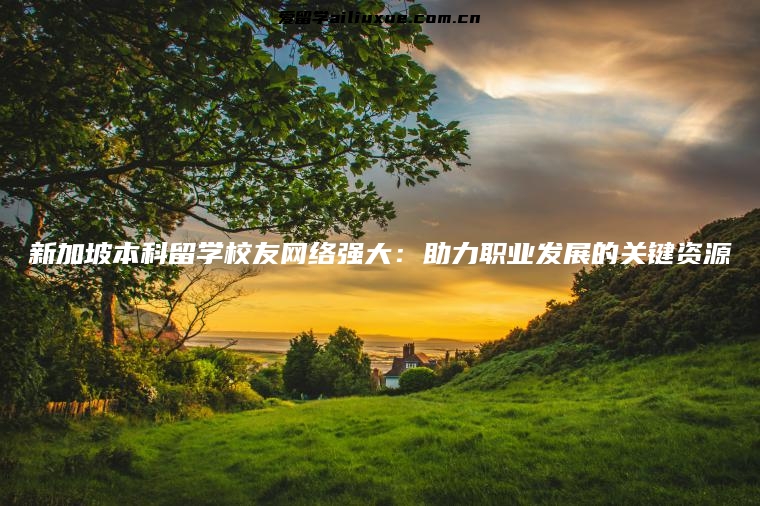 新加坡本科留学校友网络强大：助力职业发展的关键资源